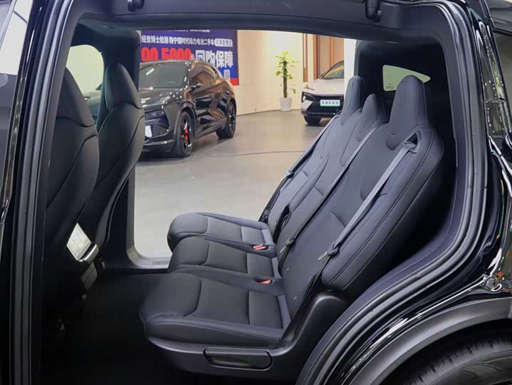 Zdjęcie 6 - Tesla Model X