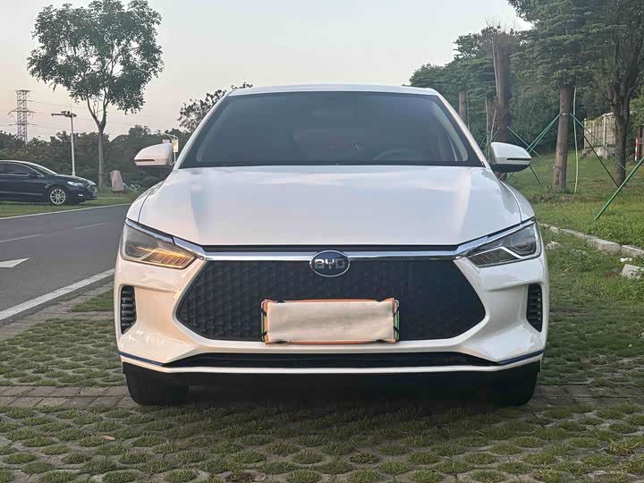Фото 2 - BYD E2