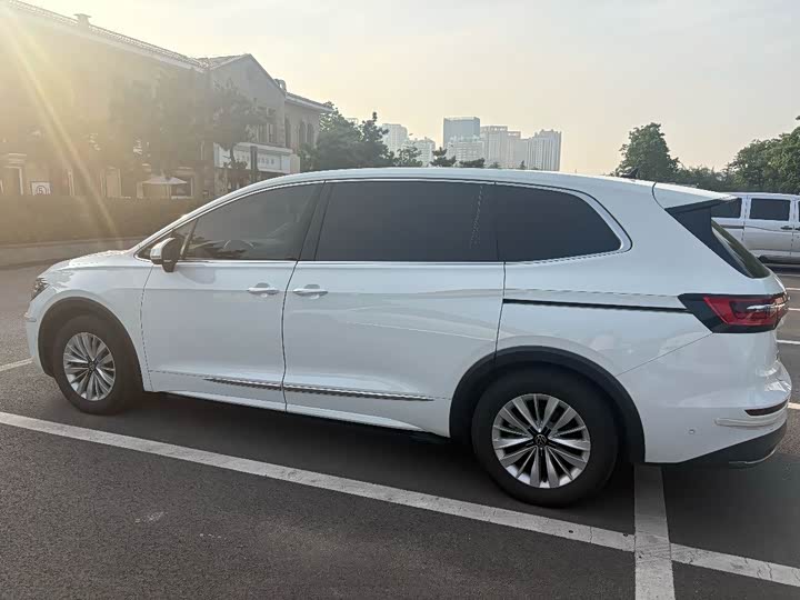 Фото 4 - Volkswagen Viloran