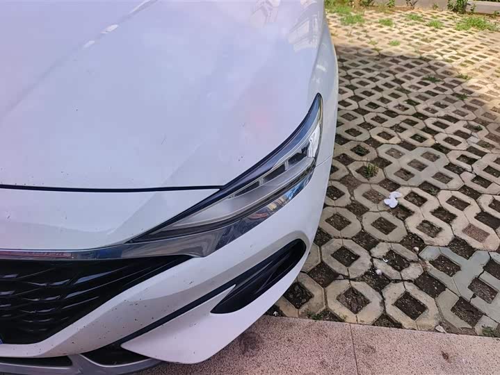 Hyundai Lafesta 2021 2021款 280TGDi DLX豪华版