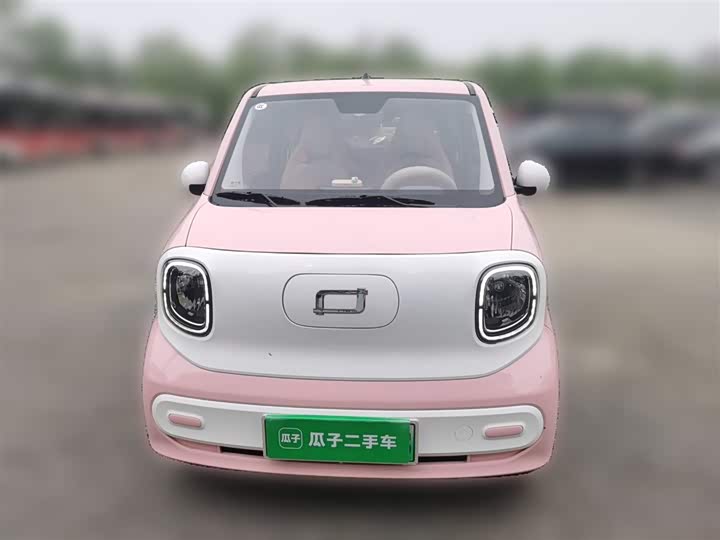 Bestune Pony 2024 2024款 170km 活力马
