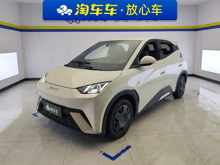 BYD Seagull 2025 2025款 305km 活力版