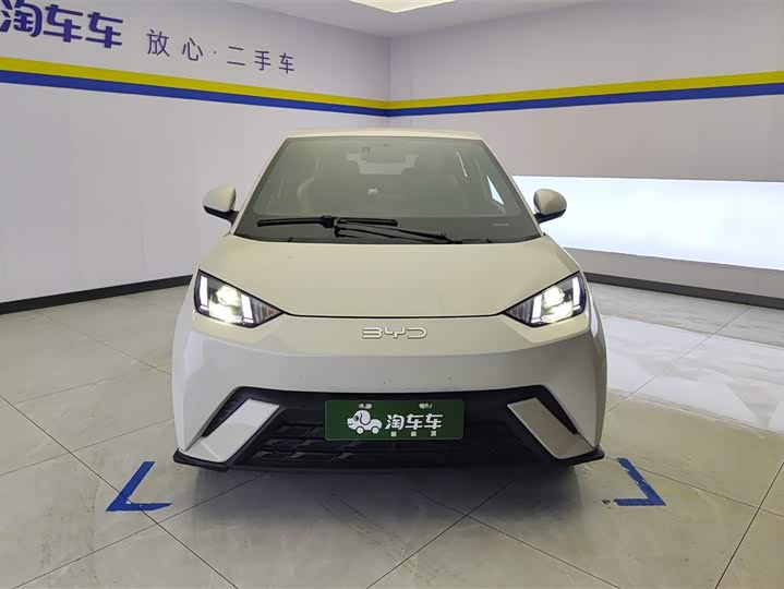 BYD Seagull 2025 2025款 305km 活力版