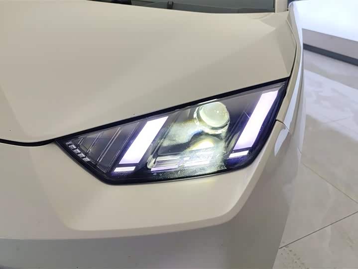 BYD Seagull 2025 2025款 305km 活力版