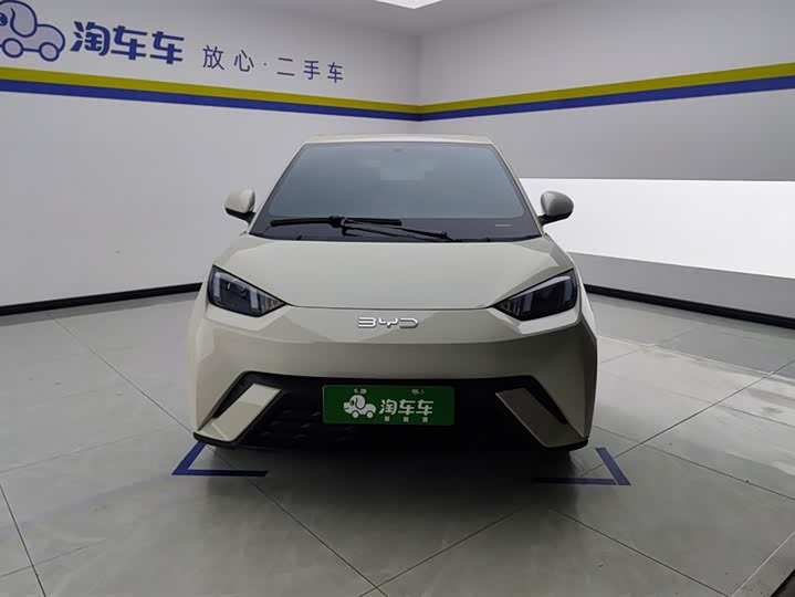 BYD Seagull 2025 2025款 305km 活力版