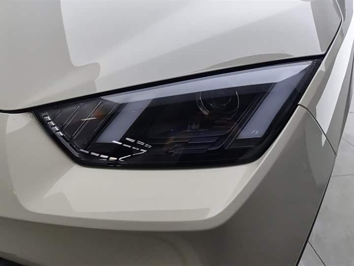 BYD Seagull 2025 2025款 305km 活力版