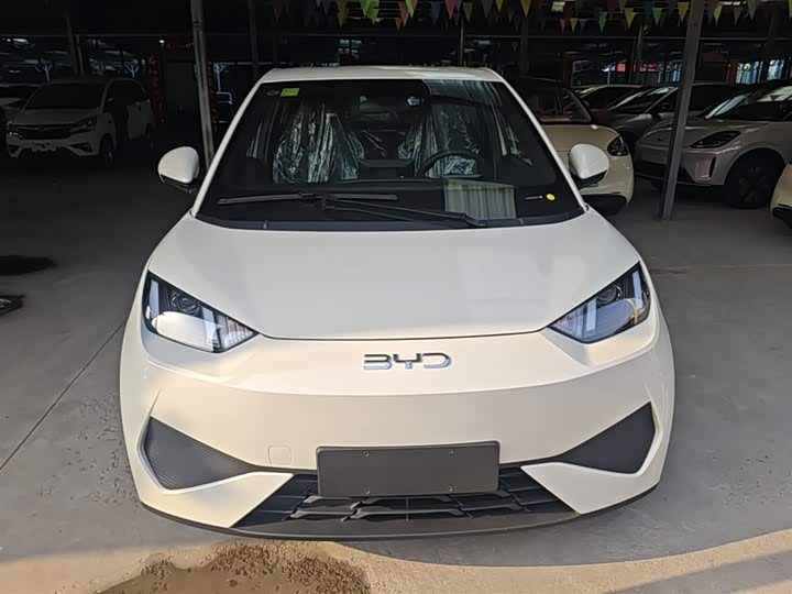 Фото 3 - BYD Seagull