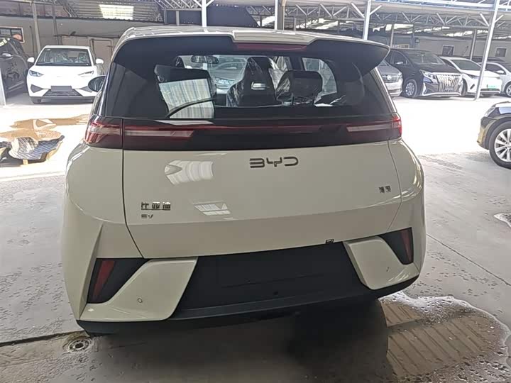 Фото 6 - BYD Seagull