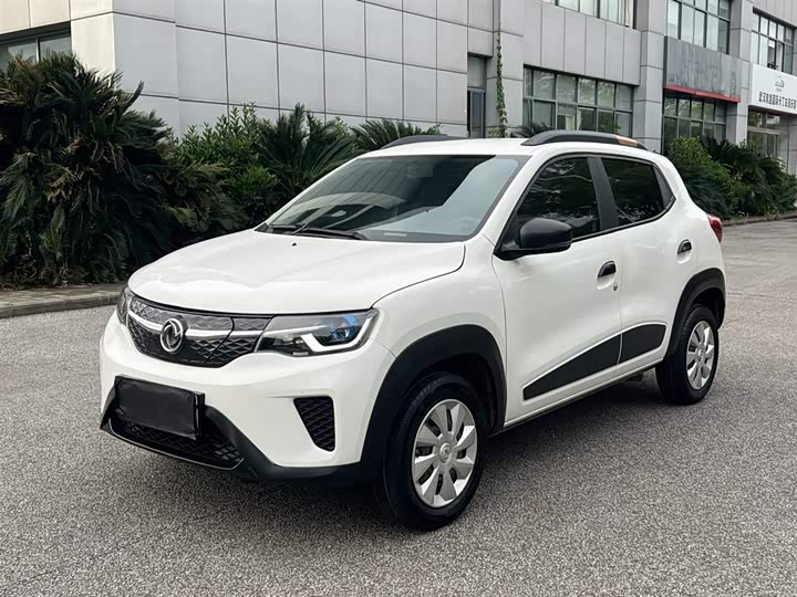 Dongfeng Yipai Nano EX1 2021 2021款 质行版