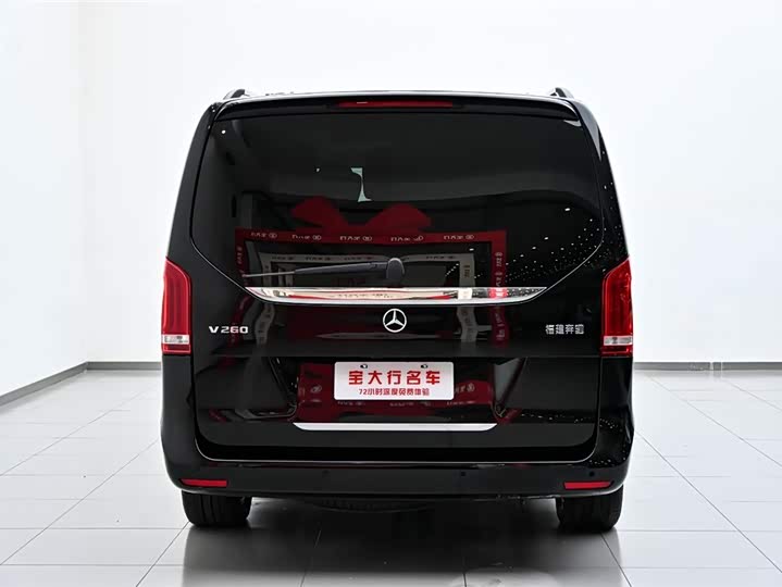 Mercedes-Benz V-Class 2021 2021款 V 260 尊贵版