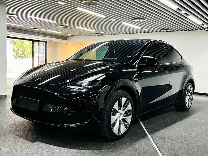 Tesla Model Y 2022 2022款 后轮驱动版