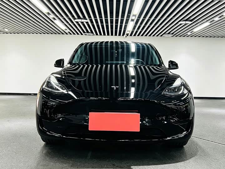 Tesla Model Y 2022 2022款 后轮驱动版