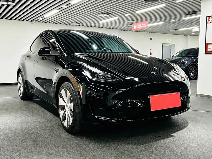 Tesla Model Y 2022 2022款 后轮驱动版