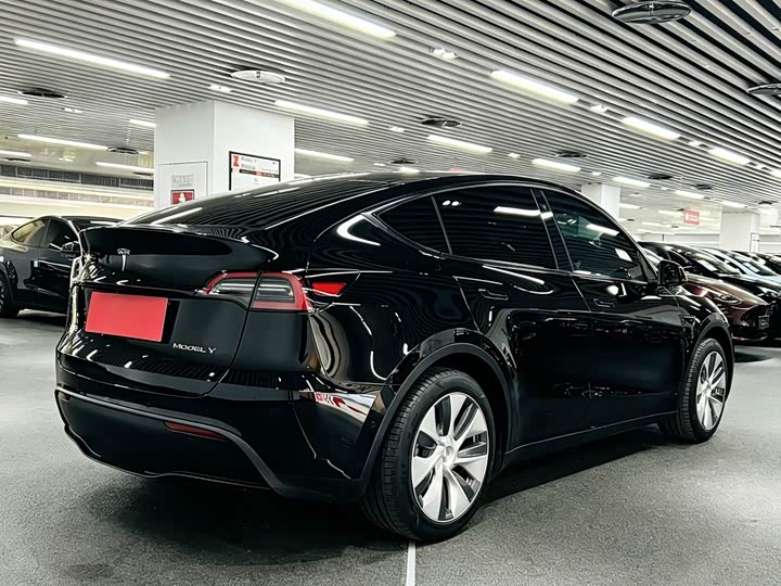 Tesla Model Y 2022 2022款 后轮驱动版