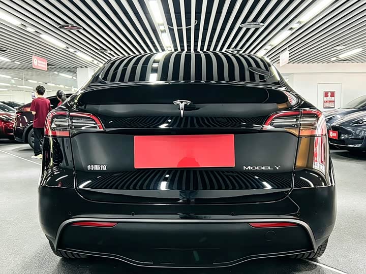 Tesla Model Y 2022 2022款 后轮驱动版