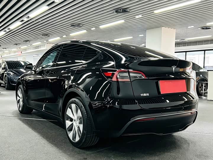 Tesla Model Y 2022 2022款 后轮驱动版