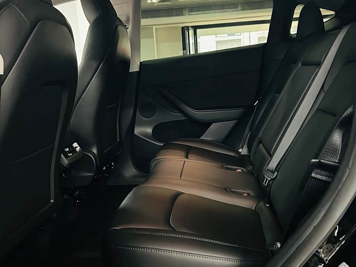 Tesla Model Y 2022 2022款 后轮驱动版