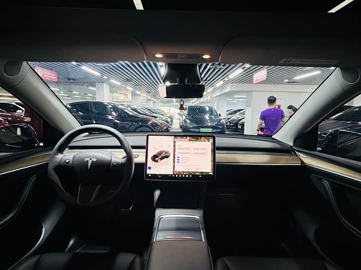 Tesla Model Y 2022 2022款 后轮驱动版