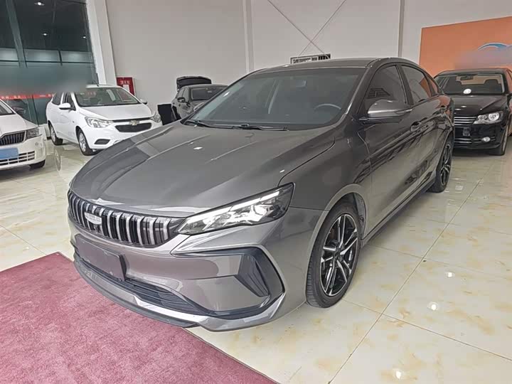 2024 Geely Binrui