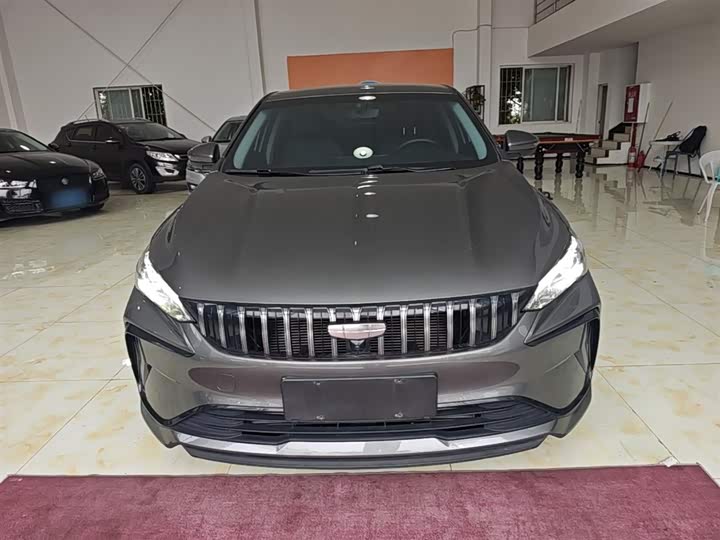 2024 Geely Binrui