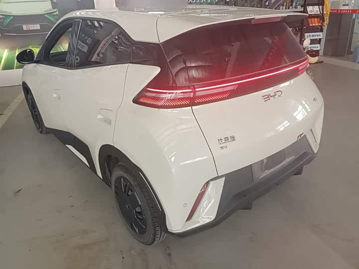 Zdjęcie 5 - BYD Seagull