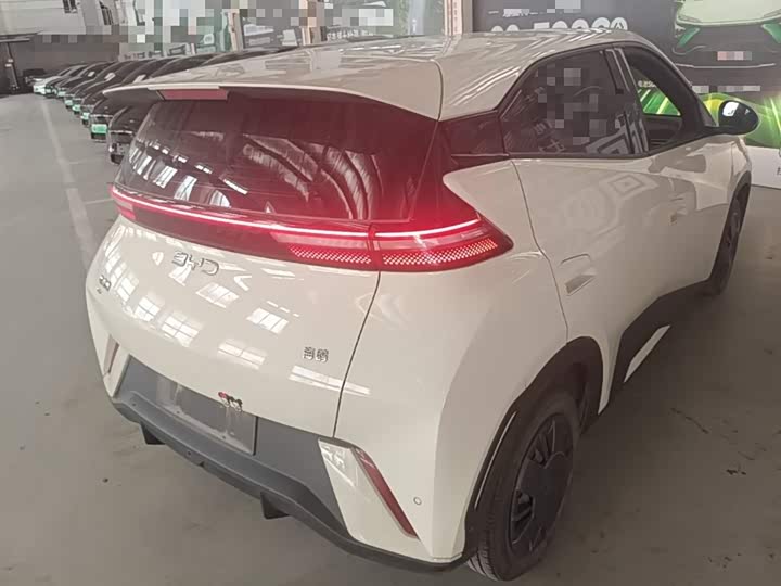 Zdjęcie 7 - BYD Seagull