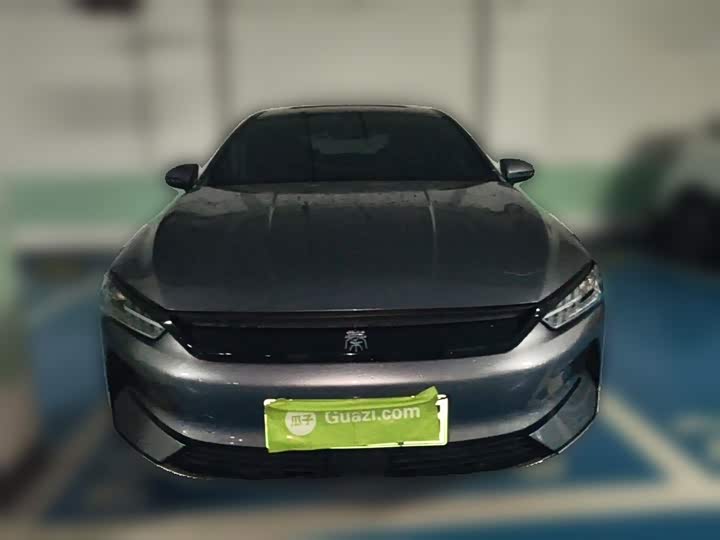 BYD Qin Plus 2021 2021款 EV 500KM 豪华型
