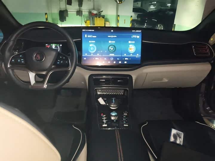 BYD Qin Plus 2021 2021款 EV 500KM 豪华型