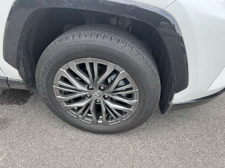 Toyota Wildlander 2024 2024款 2.0L CVT两驱豪华PLUS版