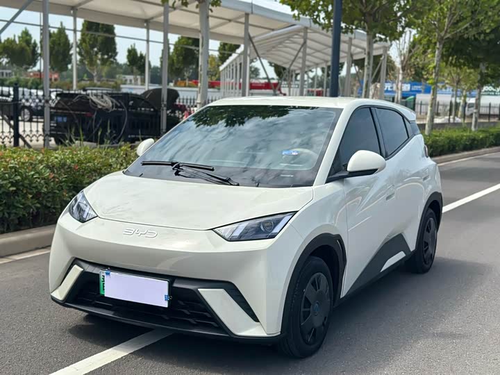 BYD Seagull 2025 2025款 305km 活力版