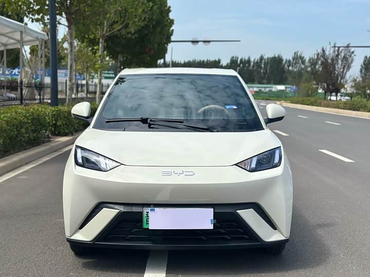 BYD Seagull 2025 2025款 305km 活力版