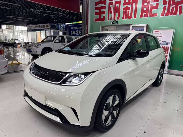 2025 BYD Dolphin