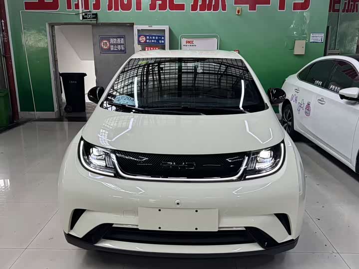 2025 BYD Dolphin