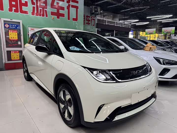 2025 BYD Dolphin