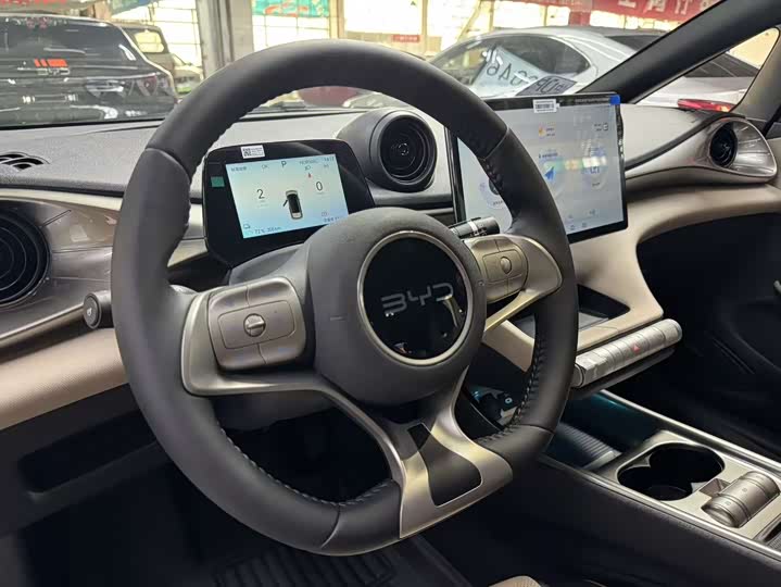 2025 BYD Dolphin