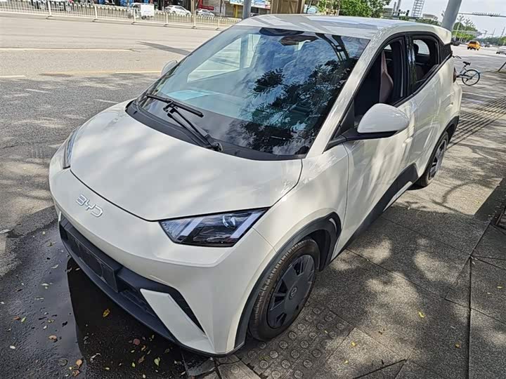 Zdjęcie 1 - BYD Seagull