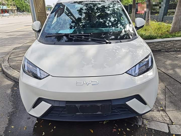 Zdjęcie 3 - BYD Seagull