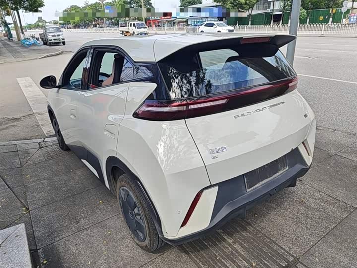 Zdjęcie 5 - BYD Seagull