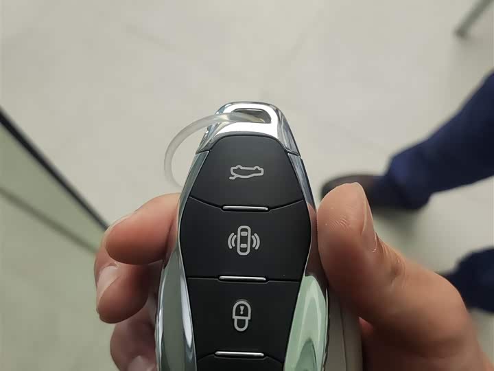 Hongqi HS3 Hybrid 2025 2025款 117km 劲为版