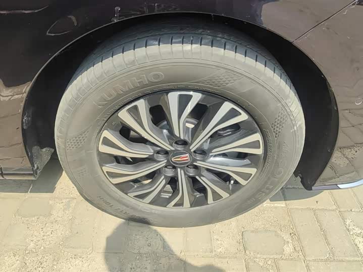 Фото 6 - Hongqi HQ9 Hybrid