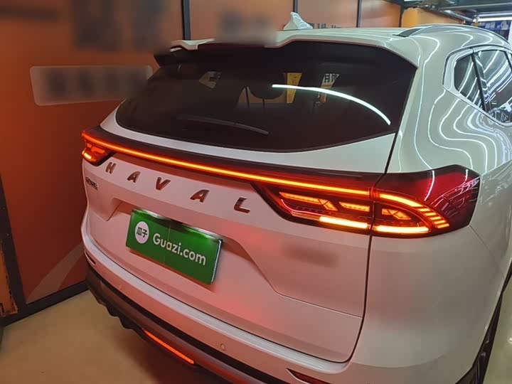 Haval H6 2025 2025款 1.5T 国潮都市版