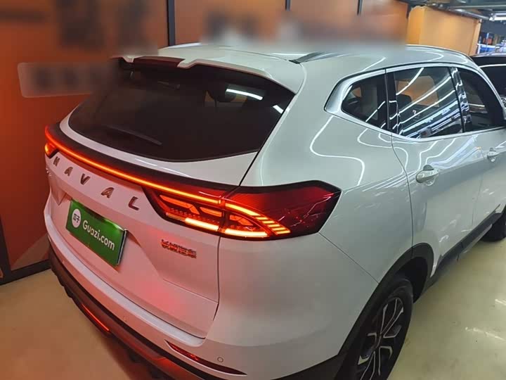 Haval H6 2025 2025款 1.5T 国潮都市版