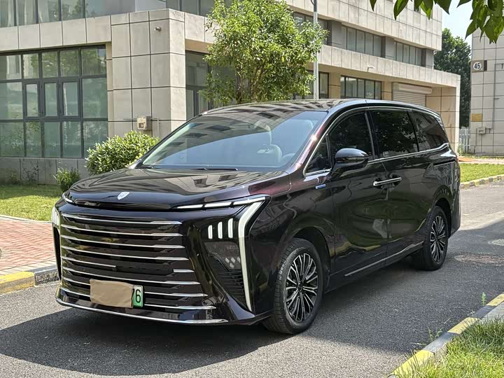 Dongfeng Forthing Xinghai V9 2024 2024款 1.5TD 200km 青云梯系列 尊贵型