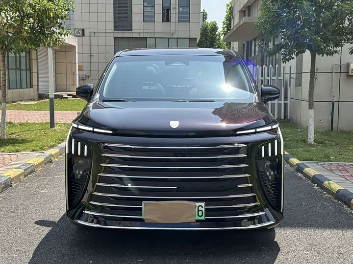 Dongfeng Forthing Xinghai V9 2024 2024款 1.5TD 200km 青云梯系列 尊贵型