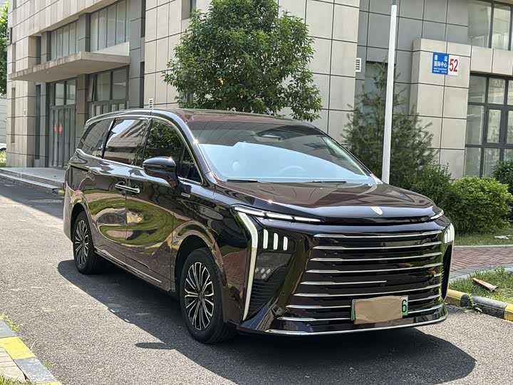 Dongfeng Forthing Xinghai V9 2024 2024款 1.5TD 200km 青云梯系列 尊贵型