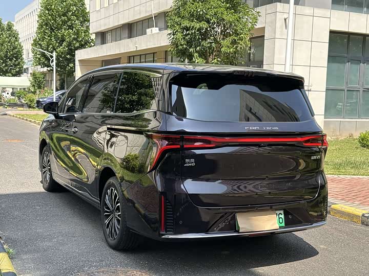 Dongfeng Forthing Xinghai V9 2024 2024款 1.5TD 200km 青云梯系列 尊贵型