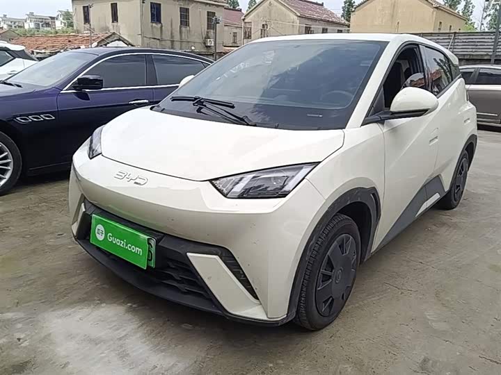 Zdjęcie 2 - BYD Seagull