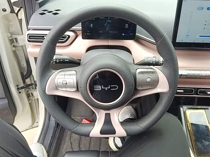 Zdjęcie 7 - BYD Seagull