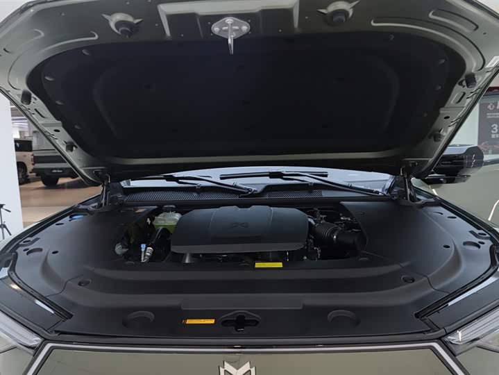 Dongfeng Mengshi M18-3 2025 2025款 Max