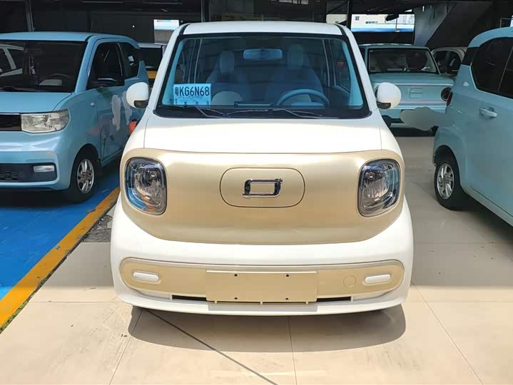 Bestune Pony 2024 2024款 170km 元气马